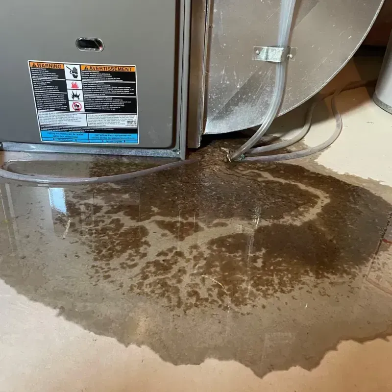 Appliance Leak Cleanup in Bison, SD